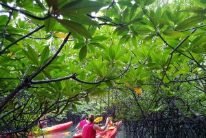 4 워터스 에코 어드벤처