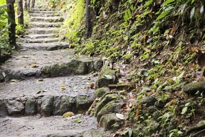 4 워터스 에코 어드벤처