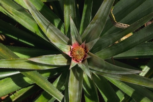 4 워터스 에코 어드벤처