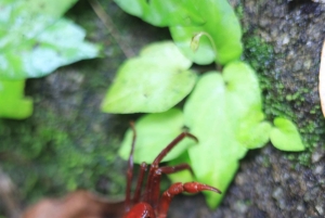 4 워터스 에코 어드벤처