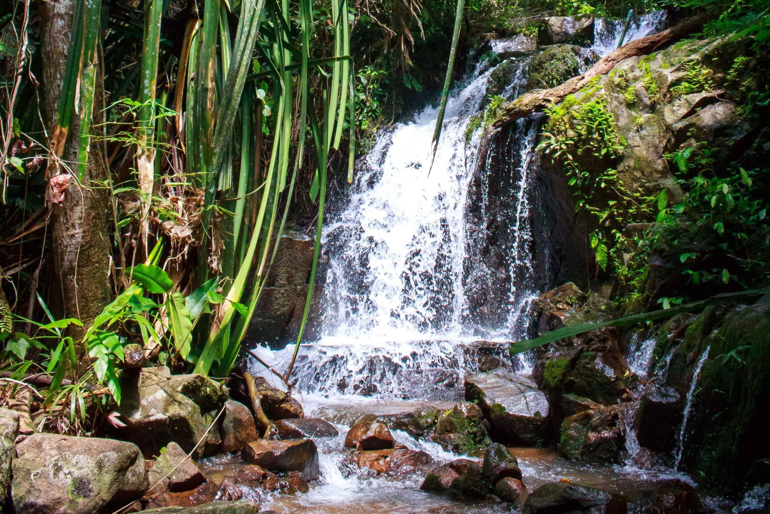 En kajak- og trekking-eventyr fra jungle til hav i Phuket