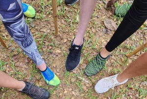 Приключение на каяках и треккинг от джунглей до моря на Пхукете