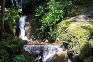 Приключение на каяках и треккинг от джунглей до моря на Пхукете