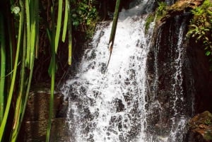 Приключение на каяках и треккинг от джунглей до моря на Пхукете