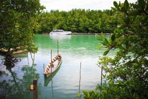 Приключение на каяках и треккинг от джунглей до моря на Пхукете