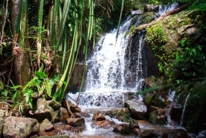 푸켓의 정글에서 바다로 이어지는 카약 & 트레킹 어드벤처