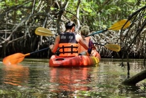 푸켓의 정글에서 바다로 이어지는 카약 & 트레킹 어드벤처