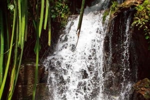 푸켓의 정글에서 바다로 이어지는 카약 & 트레킹 어드벤처