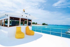 Niesamowita wyspa koralowa i kolacja o zachodzie słońca z katamaranem motorowym