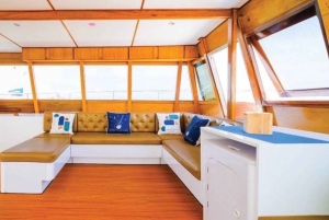 Amazing Coral Island & Sunset Dinner with Power Catamaran