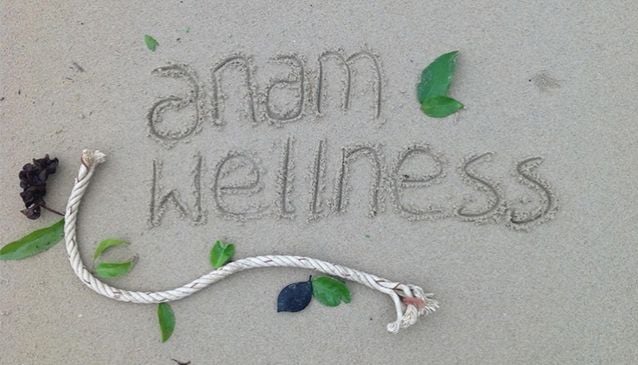 Anam Wellness