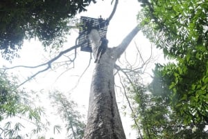 Phuket: Passeio de quadriciclo pelo mirante do Grande Buda e aventura na tirolesa