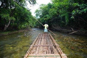 대나무 래프팅, 폭포, 점심, 코끼리, 거북이 투어
