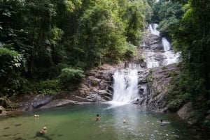 대나무 래프팅, 폭포, 점심, 코끼리, 거북이 투어