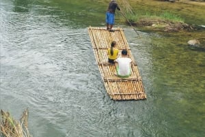 대나무 래프팅, 폭포, 점심, 코끼리, 거북이 투어