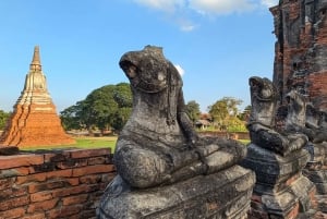 Bangkok: Ayutthaya Tagestour mit privatem Auto und Bootstour