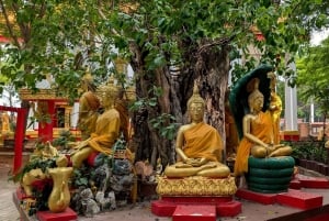 Bangkok: Ayutthaya Tagestour mit privatem Auto und Bootstour