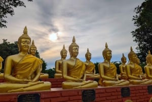 Von Bangkok aus: Private Tagestour nach Ayutthaya mit Bootstour