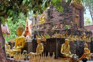 Von Bangkok aus: Private Tagestour nach Ayutthaya mit Bootstour