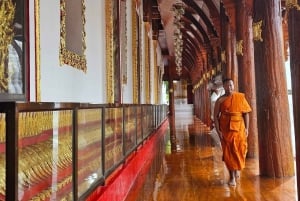 Von Bangkok aus: Private Tagestour nach Ayutthaya mit Bootstour