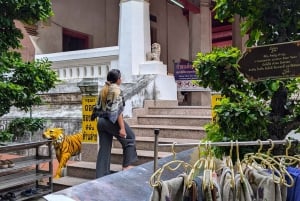 Von Bangkok aus: Private Tagestour nach Ayutthaya mit Bootstour