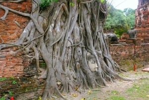 Von Bangkok aus: Private Tagestour nach Ayutthaya mit Bootstour