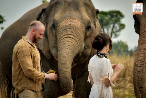 Bangkok: Pattaya Elephant Jungle Sanctuary Halbtagestour