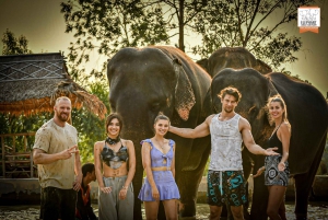 Bangkok : Visite d'une demi-journée du sanctuaire de la jungle des éléphants de Pattaya