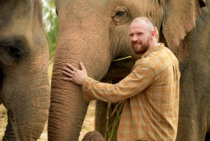 Bangkok : Visite d'une demi-journée du sanctuaire de la jungle des éléphants de Pattaya
