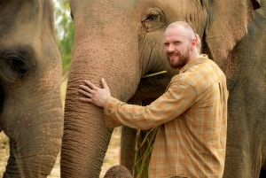 Bangkok: Excursão de meio dia ao santuário de elefantes na selva em Pattaya