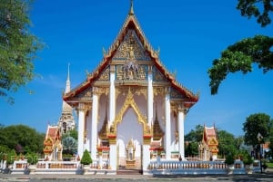 جولة في معبد تمثال بوذا الكبير في الغابة مع الغداء