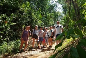 جولة في معبد تمثال بوذا الكبير في الغابة مع الغداء