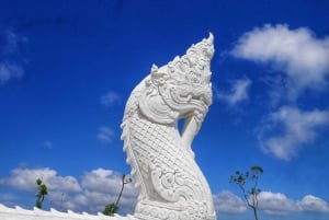 جولة في معبد تمثال بوذا الكبير في الغابة مع الغداء