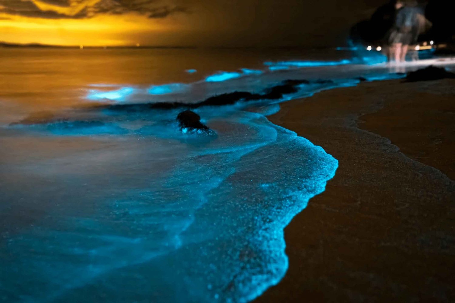 Phuket: Plancton bioluminescente e canoe di mare nella baia di Phang Nga