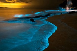 Phuket: Phang Nga Bay Bioluminescent Plankton and Sea Canoes