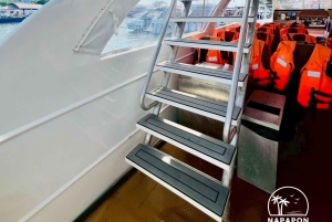 Catamaran from Phuket to Phi Phi, Maya and Khai Island Tour