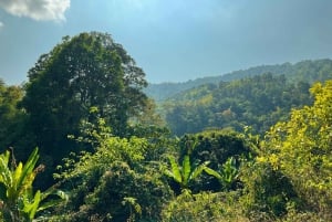 Chiang Mai ATV & White Water Rafting & Trekking to Waterfall