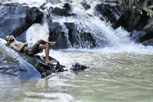 치앙마이: 도이 인타논과 코끼리 보호구역 투어 & 하이킹