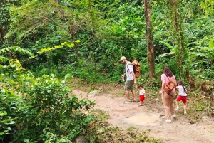 Culture Thai cooking class & rubber tree waterfall village