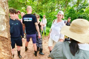 Culture Thai cooking class & rubber tree waterfall village