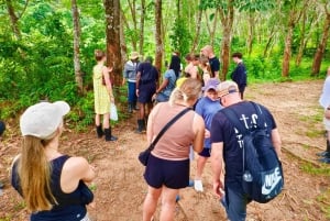 Culture Thai cooking class & rubber tree waterfall village