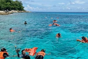 Excursión de un día a las islas Coral y Racha en lancha rápida