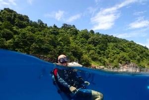 Discover Scuba Beach Dive Experience