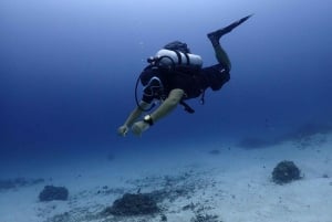 Discover Scuba Beach Dive Experience