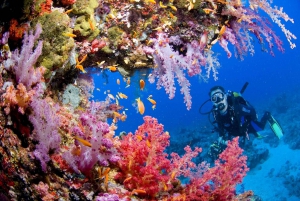 Try Scuba Diving in Racha Yai/noi: 3 Dives for Non-Certified