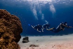 Explore Scuba diving at Racha Yai Island Phuket - Prestige