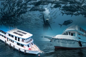 Découvrez la plongée sous-marine à Racha Yai Island Phuket - Prestige