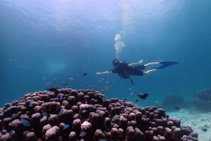 Explore Scuba diving at Racha Yai Island Phuket - Prestige