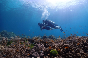 Discover Scuba Diving Racha Yai From Phuket