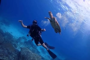 Explore Scuba diving at Racha Yai Island from Phuket